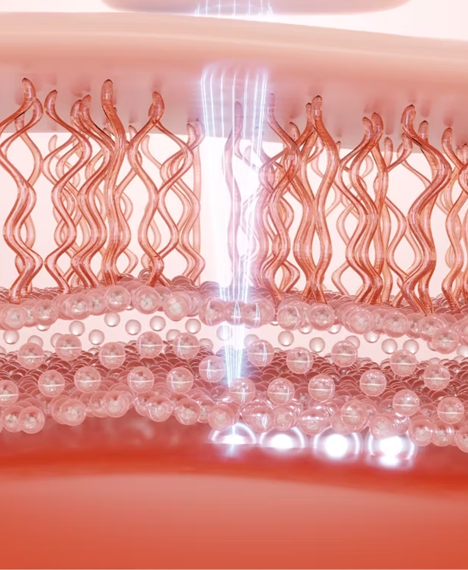 stemCells-about