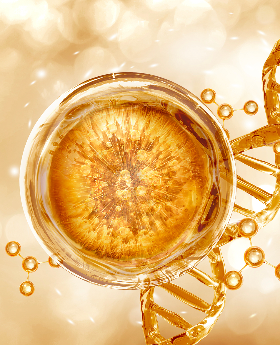 stemCells-about